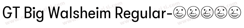 GT Big Walsheim Regular字体转换